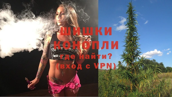 apvp Аркадак