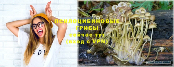 apvp Аркадак