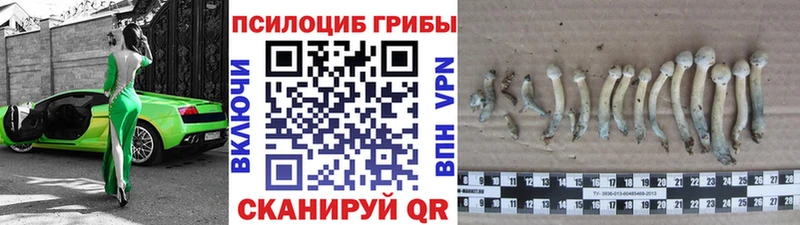 kraken зеркало  Чусовой  Галлюциногенные грибы мухоморы 