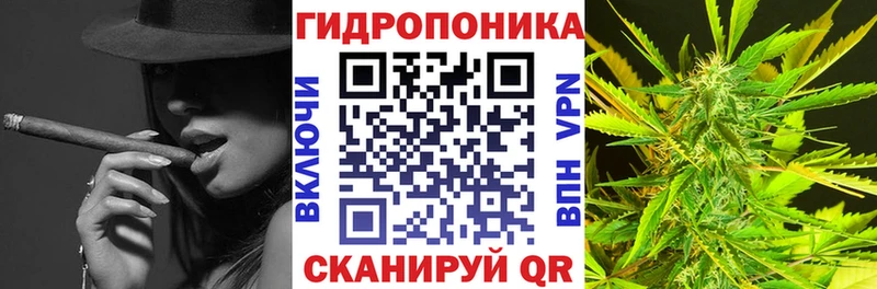 omg зеркало  купить наркотики цена  Чусовой  Бошки Шишки LSD WEED 